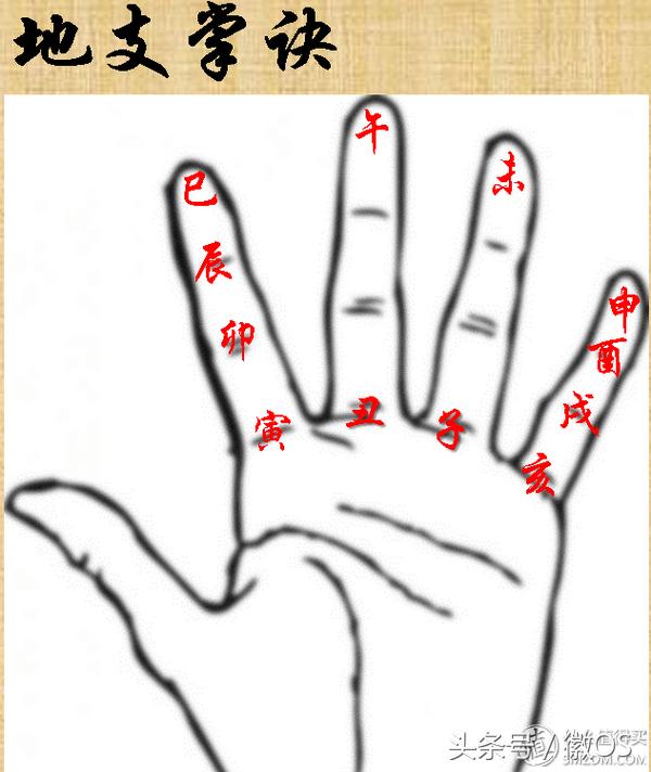 神秘的天干地支图片,神秘的天干地支之丑