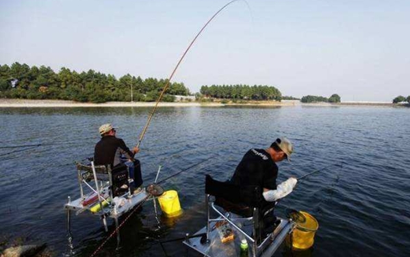 饵料诱鱼效果排行榜最新,诱鱼最快最有效的饵料