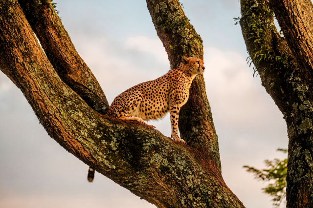 去非洲旅行,如何寻找拍摄题材?