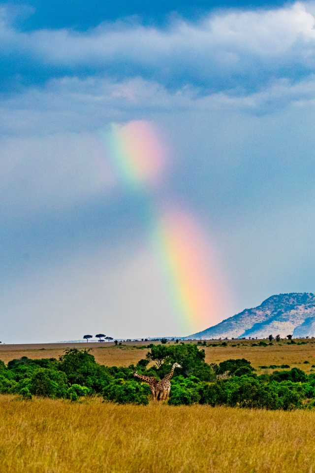 去非洲旅行,如何寻找拍摄题材?