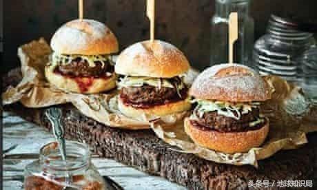 袋鼠可以吃桉树叶吗,袋鼠可以吃番茄吗