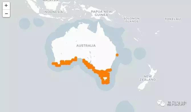 2023年澳洲龙虾进口最新政策,中国停止进口澳洲龙虾了吗