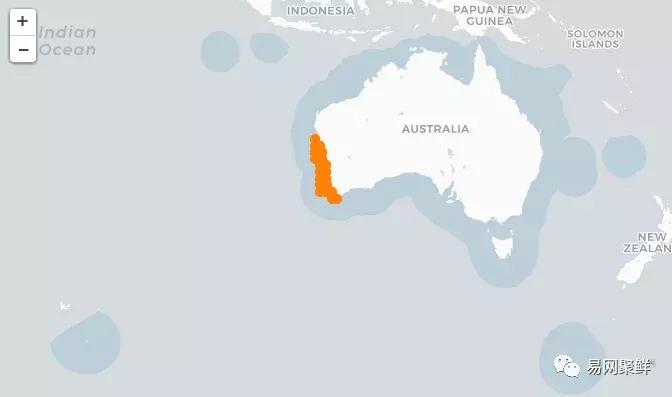 2023年澳洲龙虾进口最新政策,中国停止进口澳洲龙虾了吗