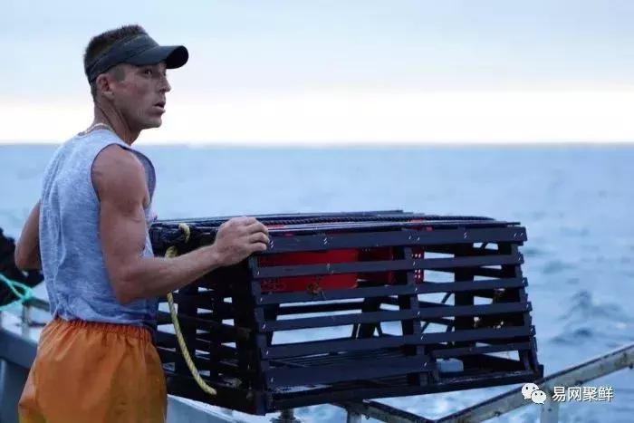 2023年澳洲龙虾进口最新政策,中国停止进口澳洲龙虾了吗