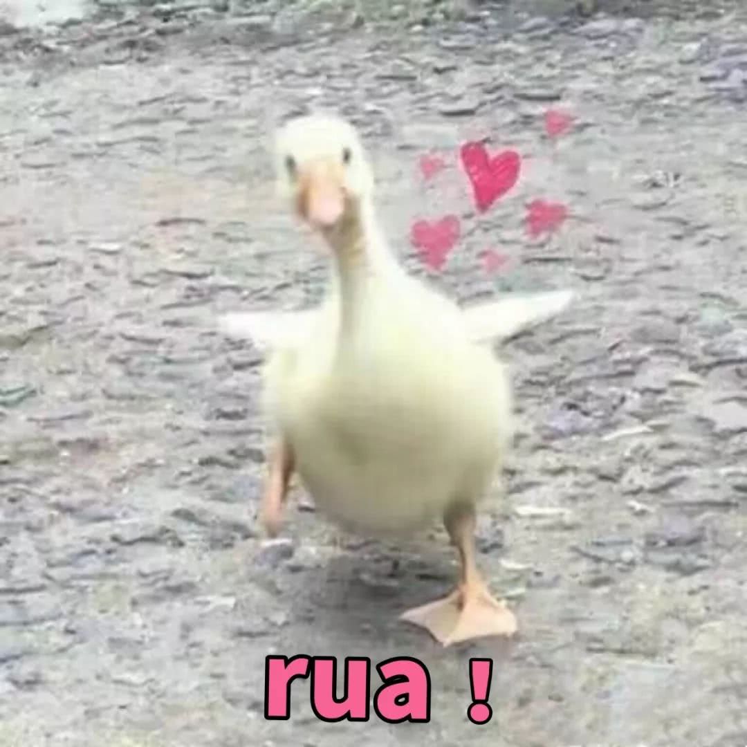 大家不要错过双11超优惠活动,今年双11怎么玩才最优惠