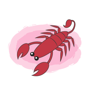 为人很好奈何说话太直的四个星座,性格老实但是内心很细腻三大星座