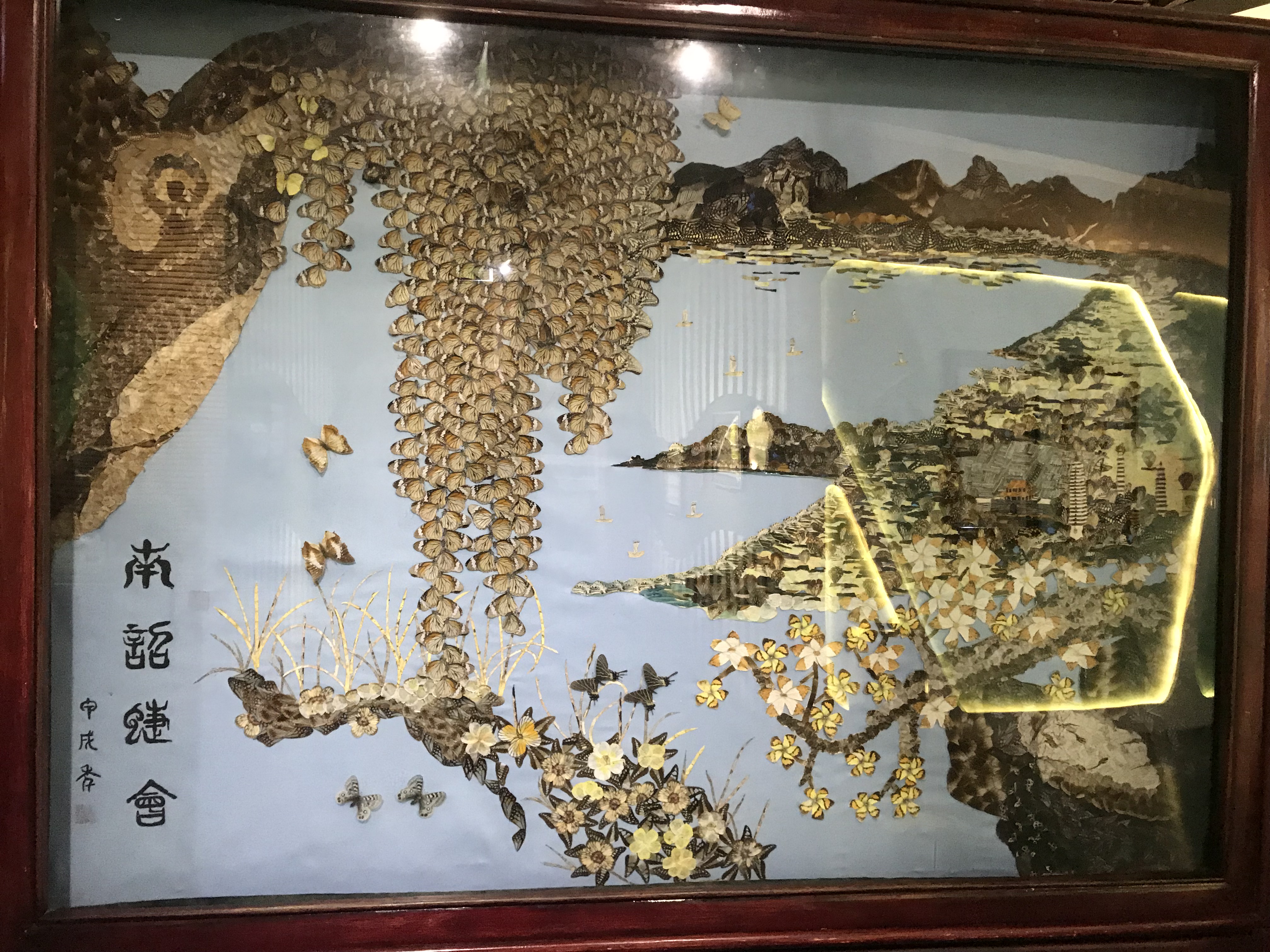 游大理洱海蝴蝶泉游记,云南旅游大理蝴蝶泉攻略图