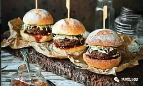 袋鼠能不能吃食物,巨型袋鼠吃什么