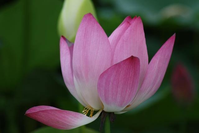 领导对下属不上心怎么办,遇到工作不努力的下属怎么办