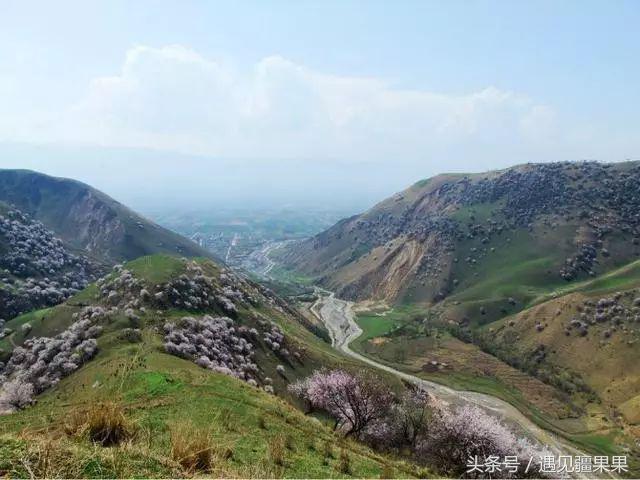 伊犁最美旅游风景区,伊犁旅游攻略探索最美风光