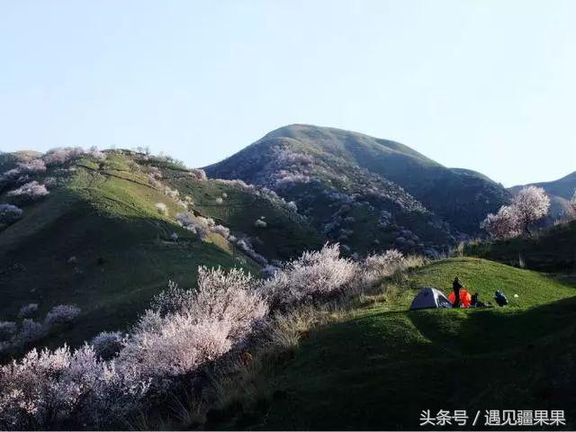 伊犁最美旅游风景区,伊犁旅游攻略探索最美风光