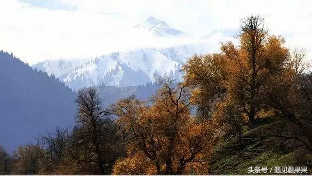 伊犁最美旅游风景区,伊犁旅游攻略探索最美风光