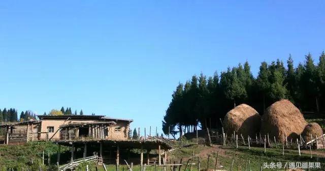 伊犁最美旅游风景区,伊犁旅游攻略探索最美风光