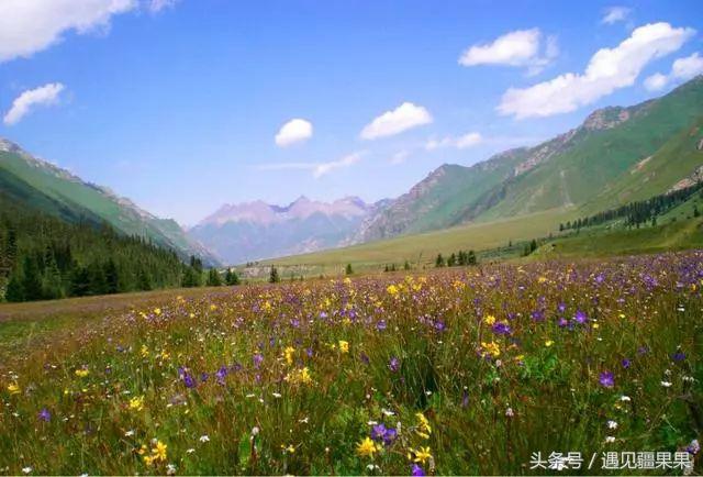 伊犁最美旅游风景区,伊犁旅游攻略探索最美风光