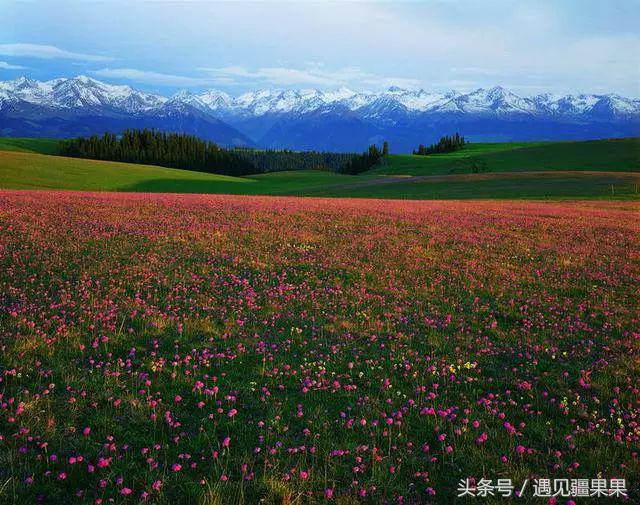伊犁最美旅游风景区,伊犁旅游攻略探索最美风光