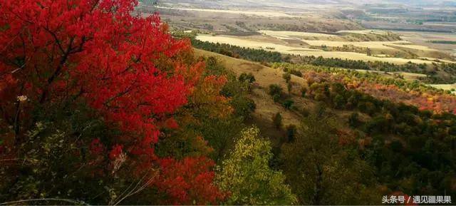 伊犁最美旅游风景区,伊犁旅游攻略探索最美风光