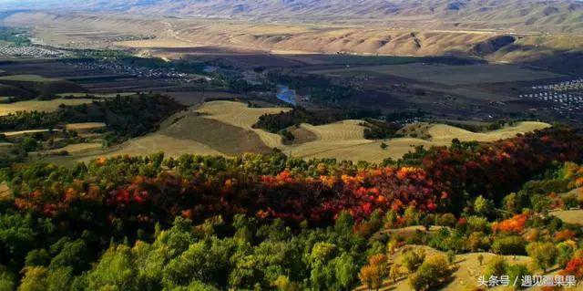 伊犁最美旅游风景区,伊犁旅游攻略探索最美风光