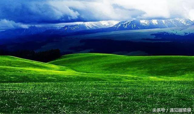 伊犁最美旅游风景区,伊犁旅游攻略探索最美风光