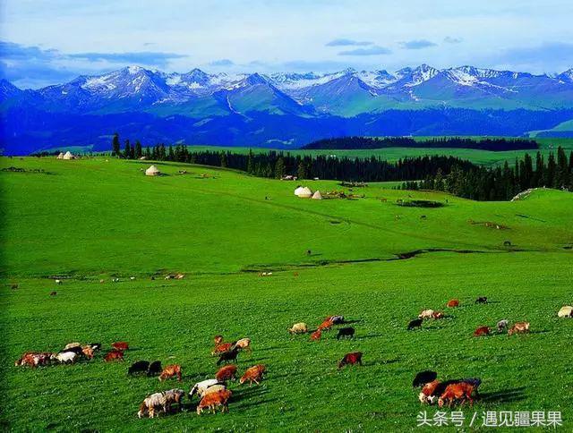 伊犁最美旅游风景区,伊犁旅游攻略探索最美风光