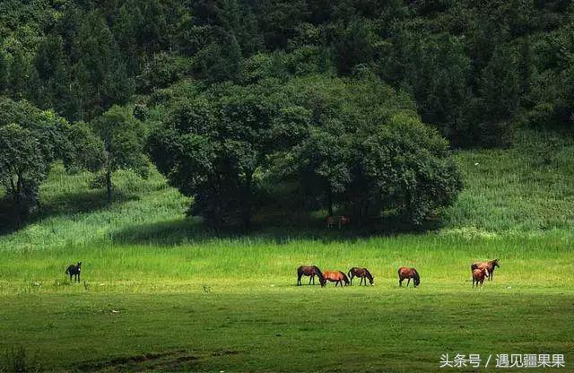 伊犁最美旅游风景区,伊犁旅游攻略探索最美风光