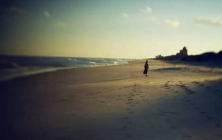 人情冷暖的诗句大全,看透人情冷暖世态炎凉诗句