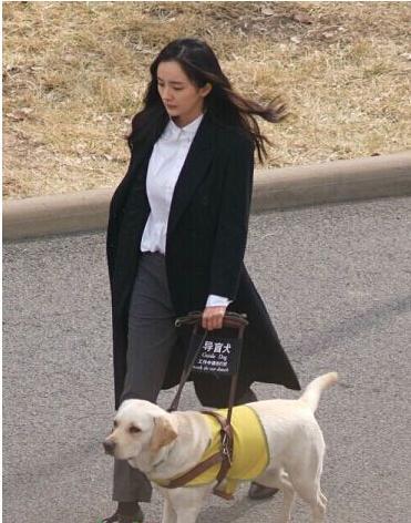 杨幂我是证人好看吗,我是证人杨幂说的话