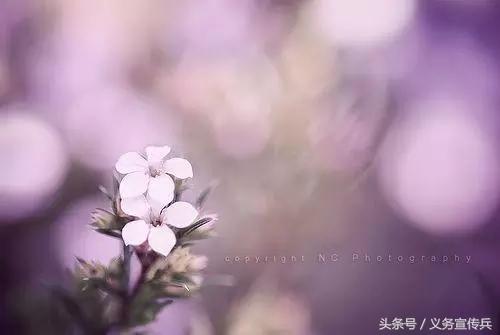 心灵鸡汤经典语录简短致自己,心灵鸡汤励志经典句子句句暖心