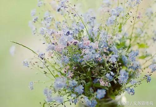 心灵鸡汤经典语录简短致自己,心灵鸡汤励志经典句子句句暖心