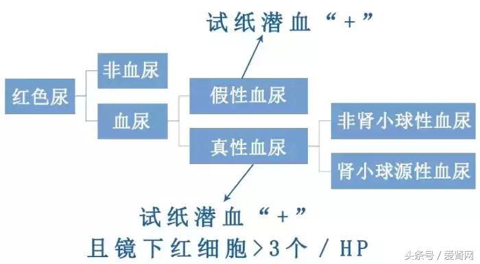 尿潜血一直有到底该不该治疗,尿潜血一直存在怎么回事