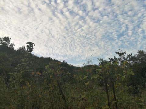 清泉石上流水,清泉石上流生生不息