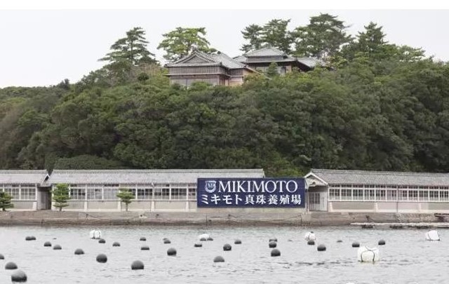 日本akoya珍珠价格,akoya珍珠和无核珍珠哪个好