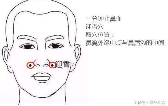中医10个急救穴位图,10个急救穴