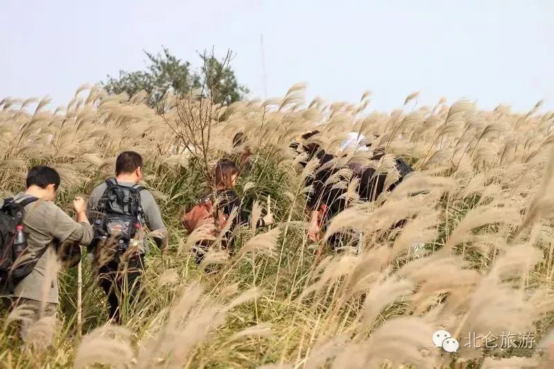 北仑山上最好的风景,北仑适合夜爬的山