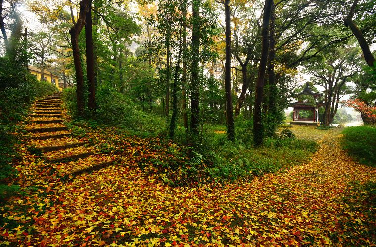 北仑山上最好的风景,北仑适合夜爬的山