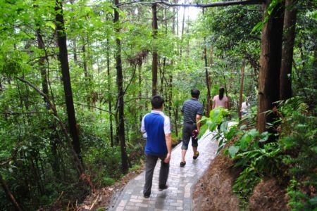 北仑山上最好的风景,北仑适合夜爬的山