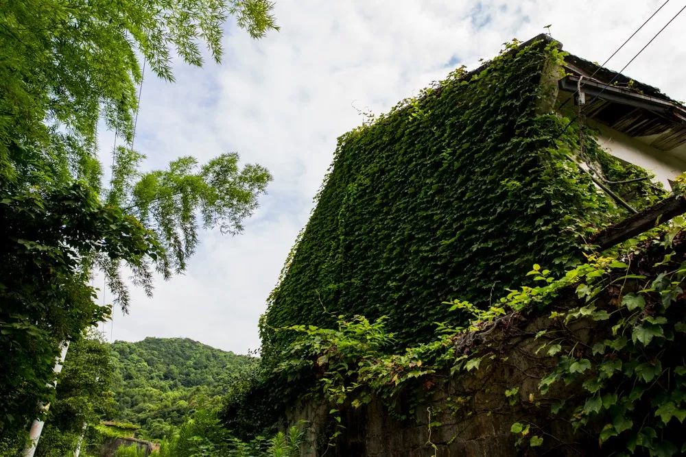 北仑山上最好的风景,北仑适合夜爬的山