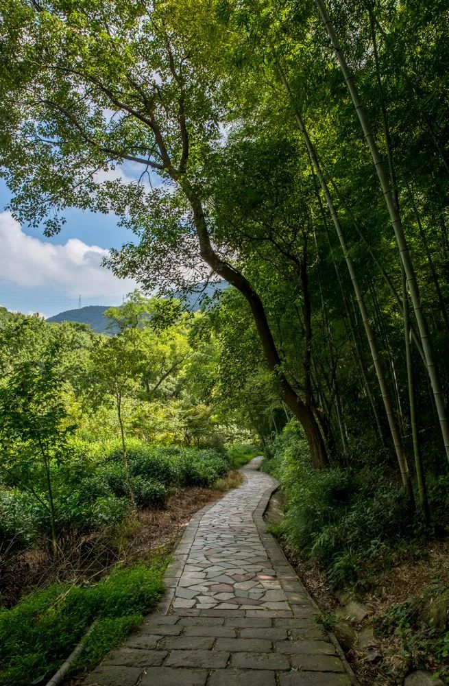 北仑山上最好的风景,北仑适合夜爬的山