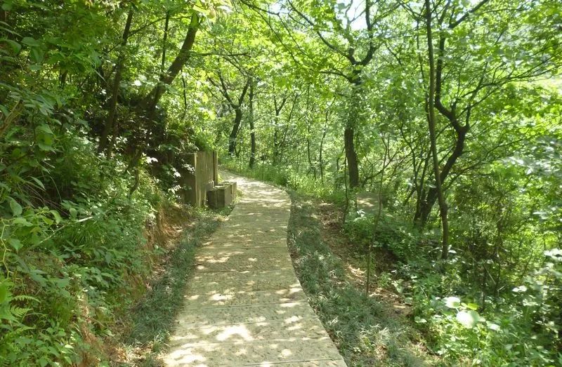 北仑山上最好的风景,北仑适合夜爬的山