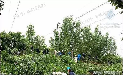 线路树障清理施工方案,电力线路树障清理属于什么行业