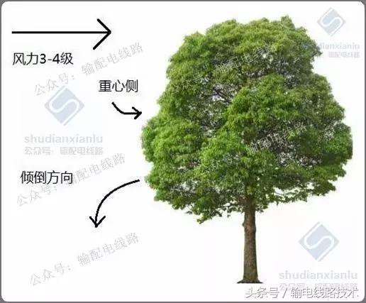 线路树障清理施工方案,电力线路树障清理属于什么行业