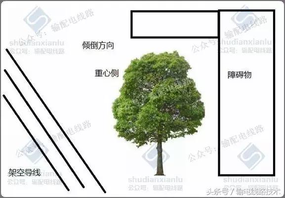 线路树障清理施工方案,电力线路树障清理属于什么行业