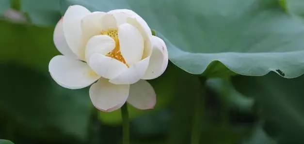 宁波32个免费景点,宁波自驾游一日游免费景点