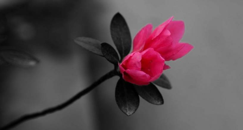 宁波32个免费景点,宁波自驾游一日游免费景点