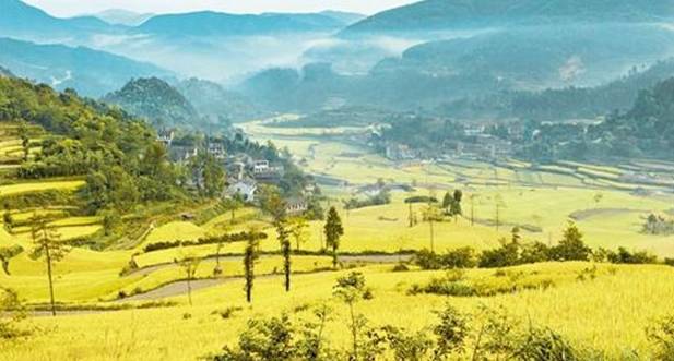 宁波32个免费景点,宁波自驾游一日游免费景点