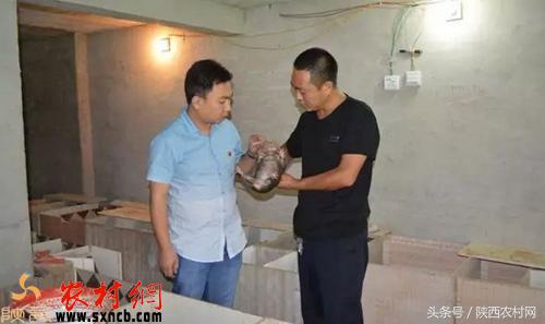 农村创业点子100例,农村创业新点子