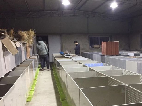 农村最有前途的职业来了,农村三个职业很吃香