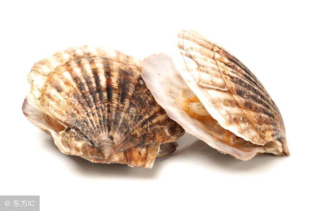 半成品粉丝扇贝怎么做才好吃,粉丝扇贝怎么做既好吃又简单