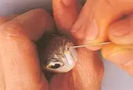 榫欓奔鑳￠』鎹熶激鎬庝箞澶勭悊,榫欓奔鎬庝箞闃叉鑳￠』鎹熶激