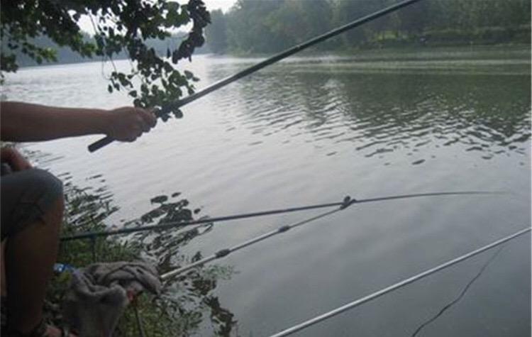 白鲳鱼怎么钓路亚,淡水白鲳鱼用什么鱼饵钓上钩最快