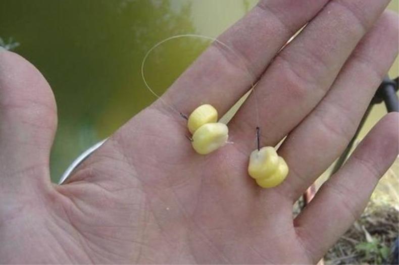 白鲳鱼怎么钓路亚,淡水白鲳鱼用什么鱼饵钓上钩最快